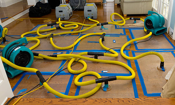 Professional Emergency Water Removal technician working in Mosherville, MI